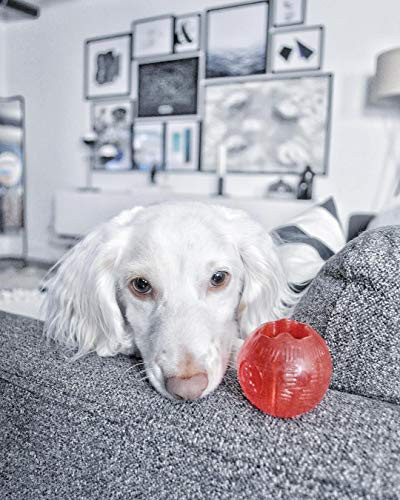 Spot Play Strong Ball Durable Tpr Ball Long Lasting Dog Toy For Aggressive Chewers Hollow Center To Hide Treats Virtually Indestructible Dog Toy For Dogs and Puppies Up To 60Lbs 325 Inch
