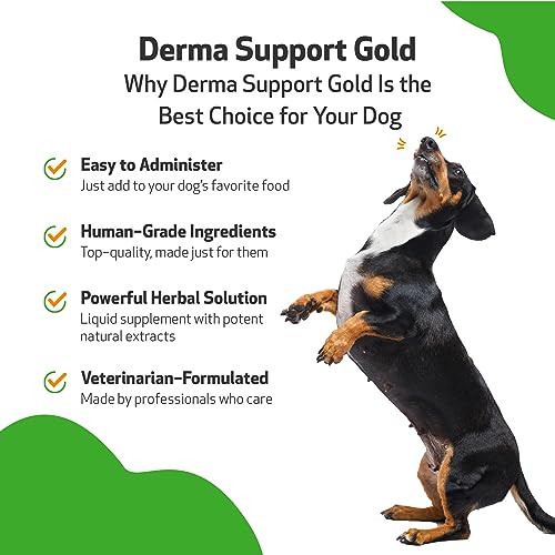 Pet Wellbeing Derma Support Gold For Dogs Skin Yeast Balance 2 Oz Nasc and VetFormulated Liquid Skin Supplement With Baikal Skullcap and Phellodendron For Healthy Odor and Itch Comfort