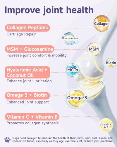 Eagou Diary Collagen For Dog Liquid Support Hip Joint Mobility Skin Coat Bone 60Ml Glucosamine Msm Omega3 Mcts Hyaluronic Biotin Dog Collagen Drops For Dogs Especially For Senior Dogs