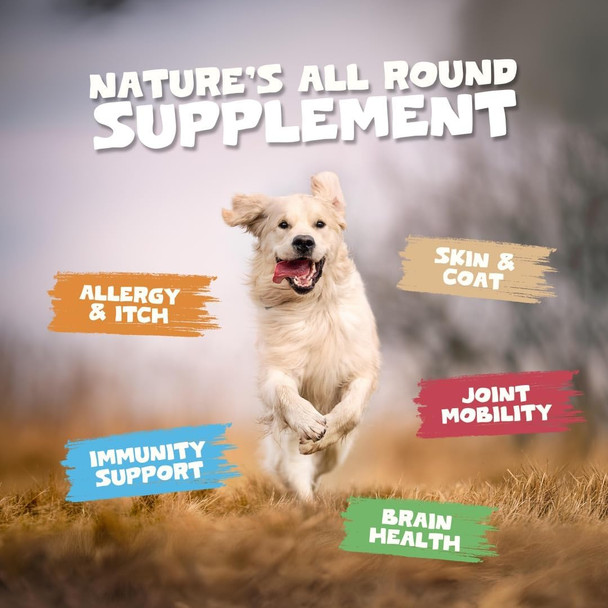 Pets Purest Salmon Oil For Dogs Cats Horses Ferrets and Pets 32 Fl Oz 100% Pure Premium Food Grade Natural Omega 3 6 and 9 Supplement Promotes Coat Skin Joint And Brain Health