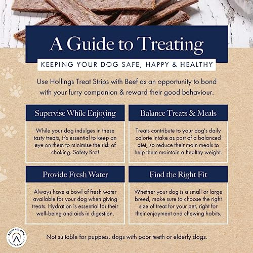 Hollings Real Beef Meat Dog Treat 100 Gr