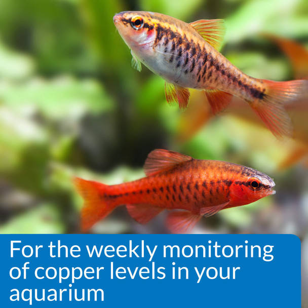 Api Copper Test Kit 90Test Aquarium Water Test Kit