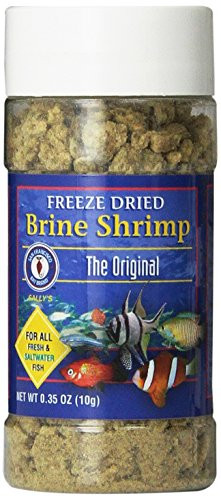 San Francisco Bay Brand Asf71104 Freeze Dried Brine Shrimp For Fresh And Saltwater Fish 10Gm