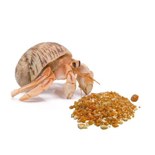 Florida Marine Research Sfm00007 Hermit Crab Treat 15Ounce
