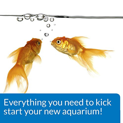 Api Aquarium Start Up Pack Water Conditioner 125Ounce Bottle 2Pack