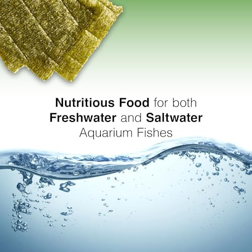 Two Little Fishies Atlsvgs2 Sea VegGreen Seaweed 04 Oz