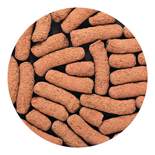 Hikari Pac Attack Food For Pacman Frogs 141Oz 40G