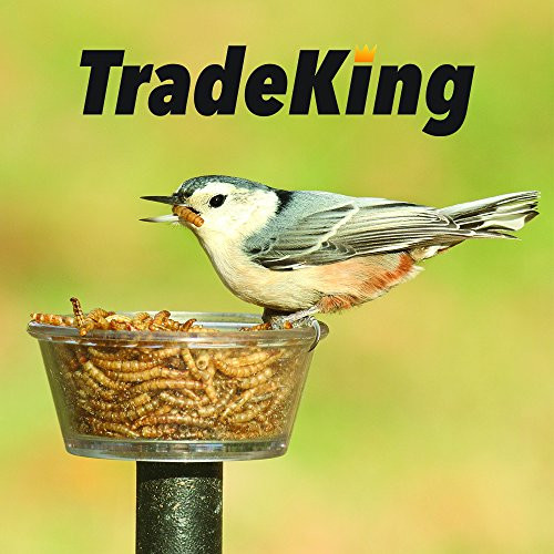 Tradeking 5 Lb Dried Mealworms High Protein Treat For Wild Birds Chicken Fish and Reptiles