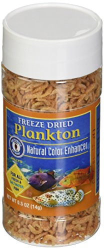 San Francisco Bay Brand Asf71205 Freeze Dried Plankton For Fresh And Saltwater Fish 14Gm