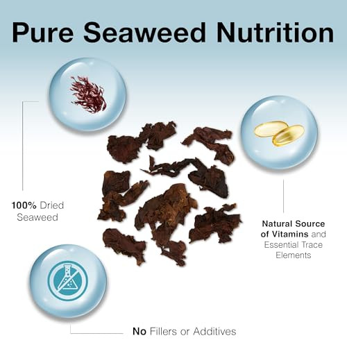 Two Little Fishies Atlsvrs4 Sea VegRed Seaweed 1Ounce Pouch