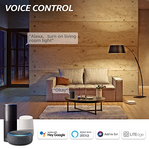Torchstar Smart Wifi Led A19 Bulb Rgbcw Color Changing Compatible With Alexa and Google Home and Echo Assistant 10%100% Dimmable With App No Hub Required E26 Base Pack Of 4