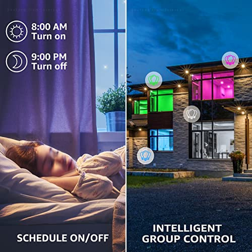 Torchstar Smart Wifi Led A19 Bulb Rgbcw Color Changing Compatible With Alexa and Google Home and Echo Assistant 10%100% Dimmable With App No Hub Required E26 Base Pack Of 4