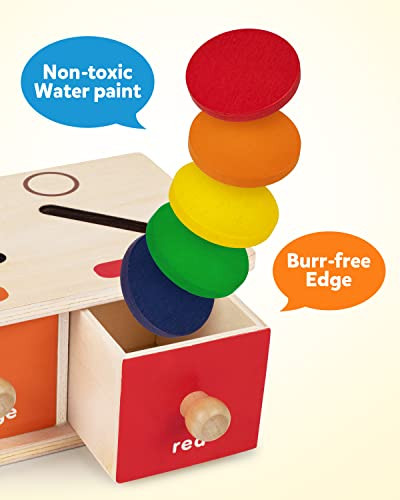 Coogam Montessori Toys Wooden Color Shape Sorting Box Game Geometric Matching Blocks Early Learning Educational Toy For 3 4 5 YearOld Baby Toddlers