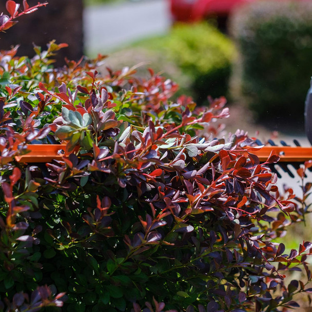 Scotts Outdoor Power Tools LSS10272PS 7.5-Volt Lithium-Ion Cordless Grass Shear/Shrub Trimmer with Wheeled Extension Handle, Green