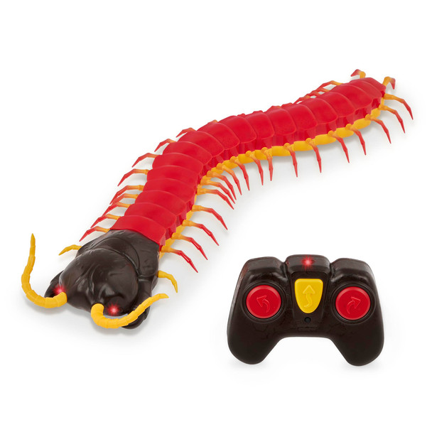 Terra By Battat Rainbow Boa Infrared Remote Control Snake With Light Up Eyes Electronic Animal Toy And Playset For Kids Realistic Reptile Fun And Interactive 6+ Years