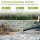 Diivoo Cordless Leaf Blower with 40 V Brushless Motor, 480-CFM/92-MPH Lightweight, Handheld, 2.5 Ah Battery-Powered Blower for Patios and Yards