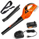 Leisch Life Cordless Leaf Blower with 2.0Ah Battery & Fast Charger+Cordless Leaf Blower Straps
