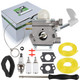 partszen 308054114 308054075 Carburetor for Homelite Carburetor Fits for 26B Leaf Blower UT09526 with Carburetor Adjusting Tool Air Filter partszen 308054114 308054075 Carburetor for Homelite Carburetor Fits for 26B Leaf Blower UT09526 with Carburetor Adjusting Tool Air Filter