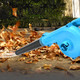SHINLEYPACK Cordless Leaf Blower,21V Cordless Leaf Blower with Battery & Charger,Specially Designed for Light Courtyard Operation and Hard Road Cleaning SHINLEYPACK Cordless Leaf Blower,21V Cordless Leaf Blower with Battery & Charger,Specially Designed for Light Courtyard Operation and Hard Road Cleaning