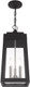 Livex Lighting 20857-12 Oslo - 19.75" Three Light Outdoor Hanging Lantern, Satin Brass Finish With Clear Glass