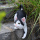 Garden Statue Kitten Fishing For Water Sleeping Black And White Cat Figurines Gate Lawn Yard Ornament Sculpture