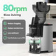 Masticating Juicer Machines 4.1-Inch(104Mm) Powerful Slow Cold Press Juicer With Large Feed Chute Electric Masticating Juicers For Vegetables And Fruits Easy To Clean With Brush