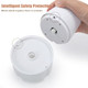 100Ml Electric Garlic Chopper，Cordless Mini Food Processor With Separation Partition，2-Leaf Blade Small Vegetable Chopper For Onion Chili Ginger（White）