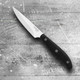 Hampton Forge Ginger 4 Pc Dinner Knives 0.65 Lb Metallic