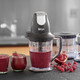 Ninja Qb1004 Blender/Food Processor With 450-Watt Base 48Oz Pitcher 16Oz Chopper Bowl And 40Oz Processor Bowl For Shakes Smoothies And Meal Prepblack