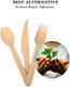 Rajrang Wooden Disposable Knives - 100 Piece Wood Compostable Knives - Eco-Friendly Biodegradable Cutlery For Party