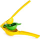 Handheld Fruit Juicer