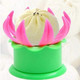 Momos Maker Mould Shapes Plastic Dumpling Maker Chinese Baozi Maker Dough Press Steamed Stuffed Bun Making Pastry Pie Steam Bun Dumpling Maker Mould Cooking Tool Sets Multi Color Pack Of 1