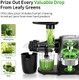 Yiou Juicer Machines Cold Press Slow Masticating Juicer Easy To Clean With 3 Modes Vegetable And Fruit Juicer Extractor Bpa- High Hardness Tritan Material Slow Juicer Black (Sj-Black)