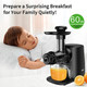 Yiou Juicer Machines Cold Press Slow Masticating Juicer Easy To Clean With 3 Modes Vegetable And Fruit Juicer Extractor Bpa- High Hardness Tritan Material Slow Juicer Black (Sj-Black)