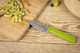 Kuhn Rikon Colori+ Classic Non-Stick Straight Paring Knife With Safety Sheath 4 Inch/10.16 Cm Blade Green