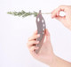 Herb Stripper Tool Kitchen Leaf Herb Stripping Gadget Cilantro Stripper For Kale Thyme Fresh Parsley Basil Rosemary Chard