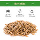 Sincerely Nuts Sunflower Seed Kernels Raw No Shell 2lb bag  Delicious Antioxidant Rich Snack Source of Protein Fiber Essential Vitamins and Minerals  Vegan and Gluten Free