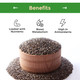 Sincerely Nuts Black Chia Seeds  Natural Superfood   Raw  Gluten  Free  Vegan and  Kosher  Healthy Food Perfect for Oatmeal  Shakes  Smoothies  Source of Protein Omega 3  Fiber. 5 LB Bag