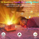 RICHMYC Ocean Wave Projector Light, 16 Colors Gradual Rotating Water Lamp with Remote Control, Beach Decor Sea Themed Northern Lights Projector for Office Bedroom Bar Restaurant