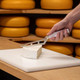 Boska Universal Cheese Cutter White - Professional Cheese Knife - Premium Quality - Multi-Use - Serreted Edge - 140 Mm - Haccp Knife - For Professional Use