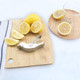 Manual Lemon Juicer Manual Lemon Slice Squeezer Portable Fruit Juicer Bird Shape Hand Juicer For Orange Lemon Lime Pomegranate Manual Lemon Juicer Manual Lemon Slice Squeezer Portable Fruit Juicer Bird Shape Hand Juicer For Orange Lemon Lime Pomegranate