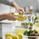 Joseph Joseph Helix Garlic Press And Citrus Juicer Ergonomic Twist-Action Hand Press Stainless Steel Set Green And Yellow