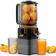 Cold Press Juicer -Large Size