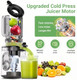 Aaobosi Cold Press Juicer 4.35" Large Feed Chute Masticating Juicer Machines () High Juice Yield Slow Juice Extractor Fit Fruits &Vegetables Easy To Clean Designed For Home And Travel