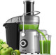 1300W Centrifugal Juicer 3.2" Wide Chute High-Yield Juice Extractor Copper Motor 3-Speed Easy Clean Non-Bpa