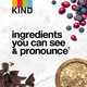 KIND HEALTHY GRAINS Granola  Healthy Snack  Raspberry Granola with Chia Seeds Snack Mix 11 OZ 6 Pack