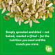 Go Raw Organic Sprouted Pumpkin Seeds 14 Oz