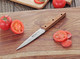 Cangshan W Series 60126 German Steel Serrated Utility Knife 5-Inch Cangshan W Series 60126 German Steel Serrated Utility Knife 5-Inch
