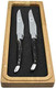 Laguiole En Aubrac Luxury Fully Forged Full Tang Stainless Steel Steak Knives 2-Piece Set With Buffalo Horn Handle Stainless Steel Shiny Bolsters