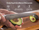 Knife Set For Kitchen 14 Pieces With Magnetic Holder Ultra Sharp Durable German Stainless Steel Damascus Pattern One-Piece Ergonomic Handle Elegant Red Flowing Cloud Design